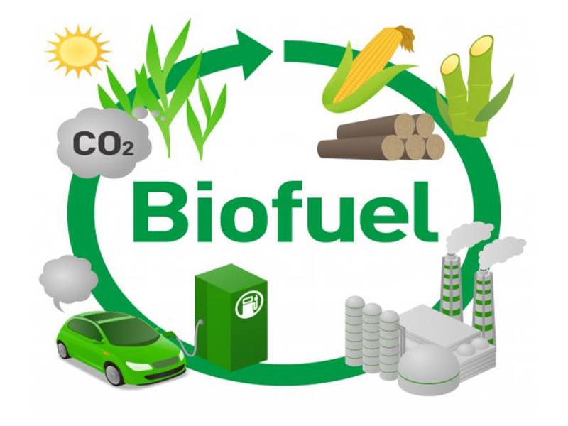 coches-carros-autos-bio-etanol-en-venta