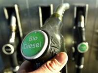 coches-biodiesel-en-venta